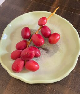 acupuncture treatment in pune